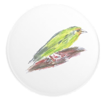Magnet Ø 37mm rund mit einer Zeichnung eines Grünfinken